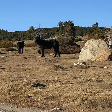 Maison De Montagne Romeu Font-Romeu-Odeillo-Via