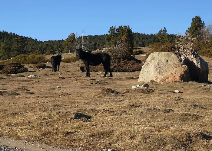 Maison De Montagne Romeu Font-Romeu-Odeillo-Via